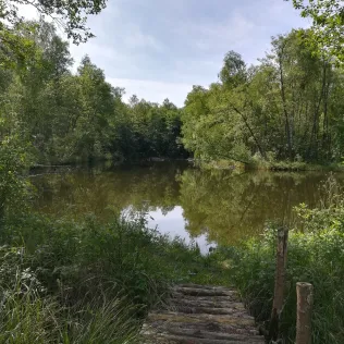 Baggerteiche Fasanenpark