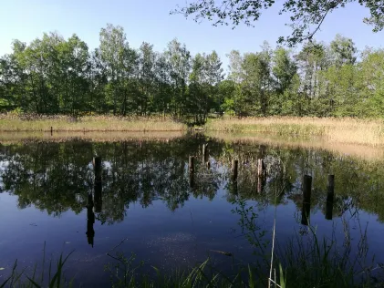 Kleine Adria (Dessau)