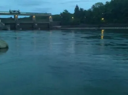 Rhein (Bad Zurzach / Rheinheim)