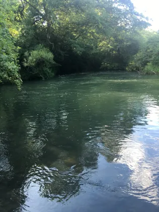 Seckach (Roigheim)