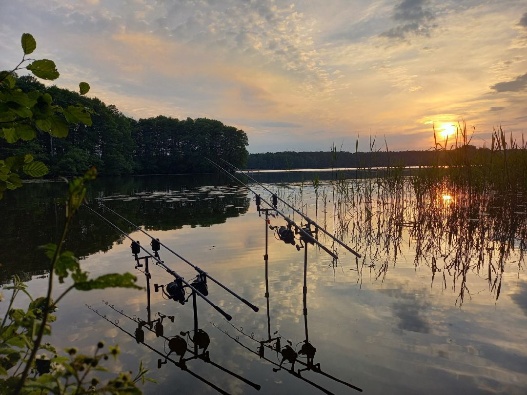 Großer Müllroser See angeln