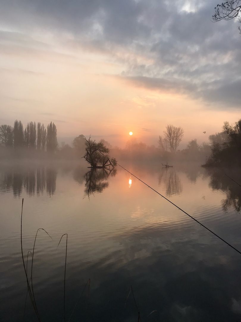 Großer Wülfeler/Detmarscher Teich angeln