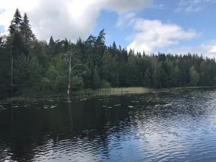 Velen (Älgarås)