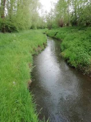 Laerbach (Melle)