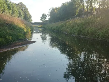Große Aa (Freren)