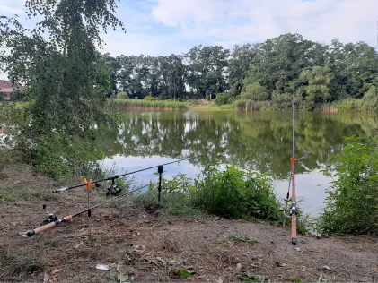 Frankenhainer Teich