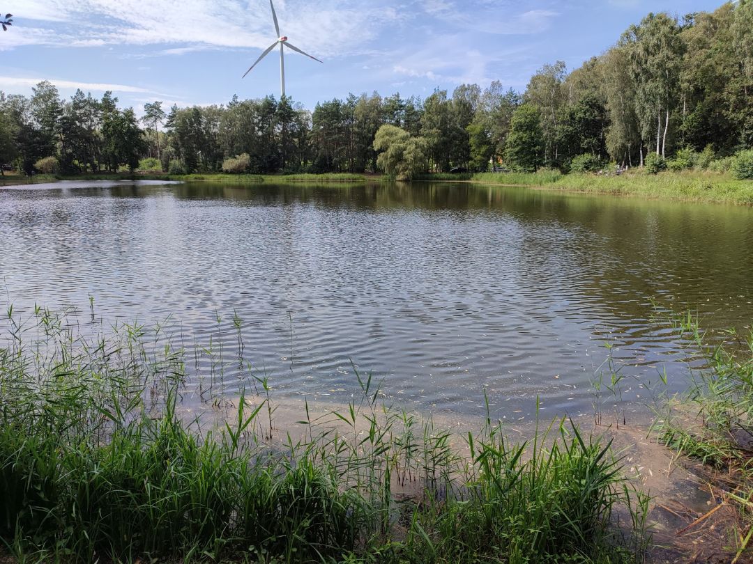 Kiesekampsee angeln