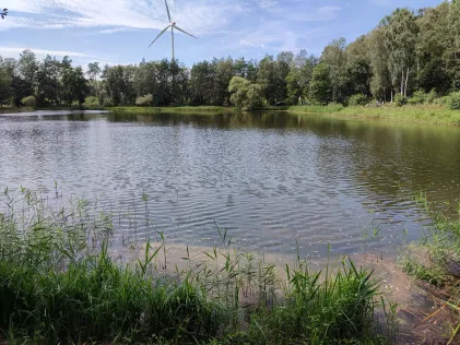 Kiesekampsee