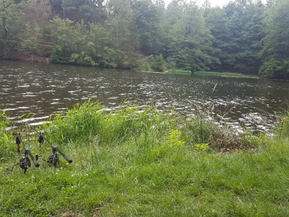 Kunstteich (Ballenstedt)