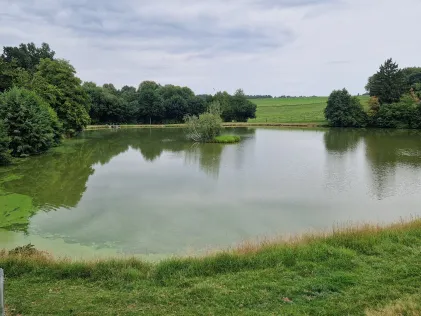 Weiher vom Kollerhof (Proggersdorf)