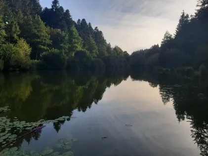 Fischweiher Talheim