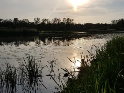 Leiner See