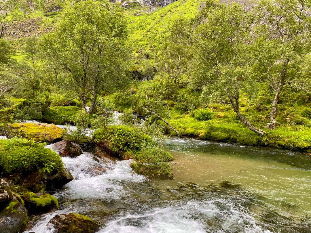 Kandalselva (Sandane) angeln