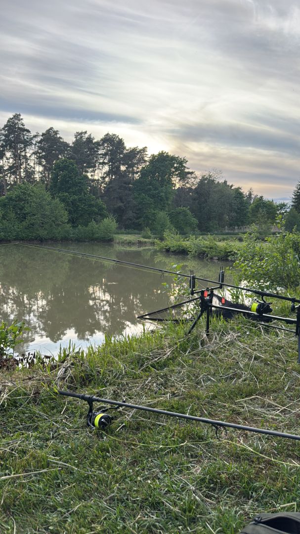 Markweiher (Pyrbaum) angeln