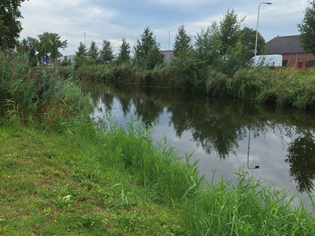 Kanaal Noord (Apeldoorn) angeln