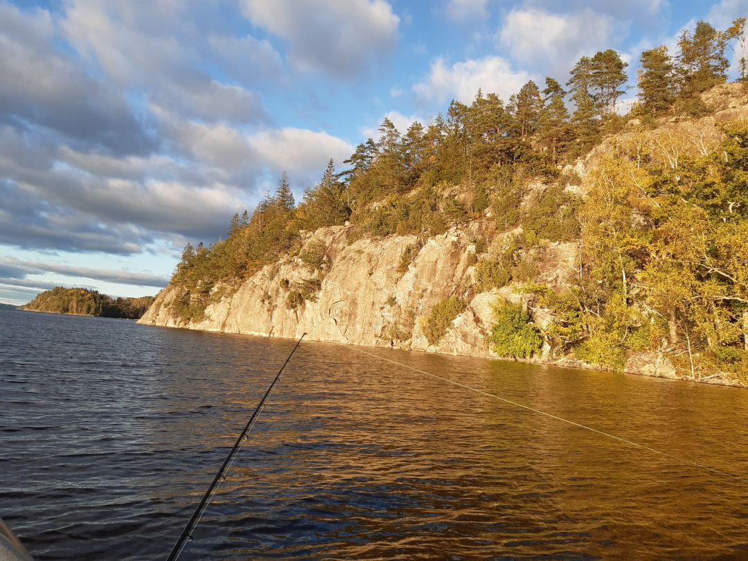 Södra Bullaresjön angeln