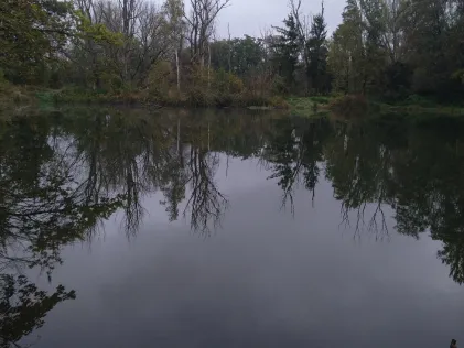 Stangl Angelweiher