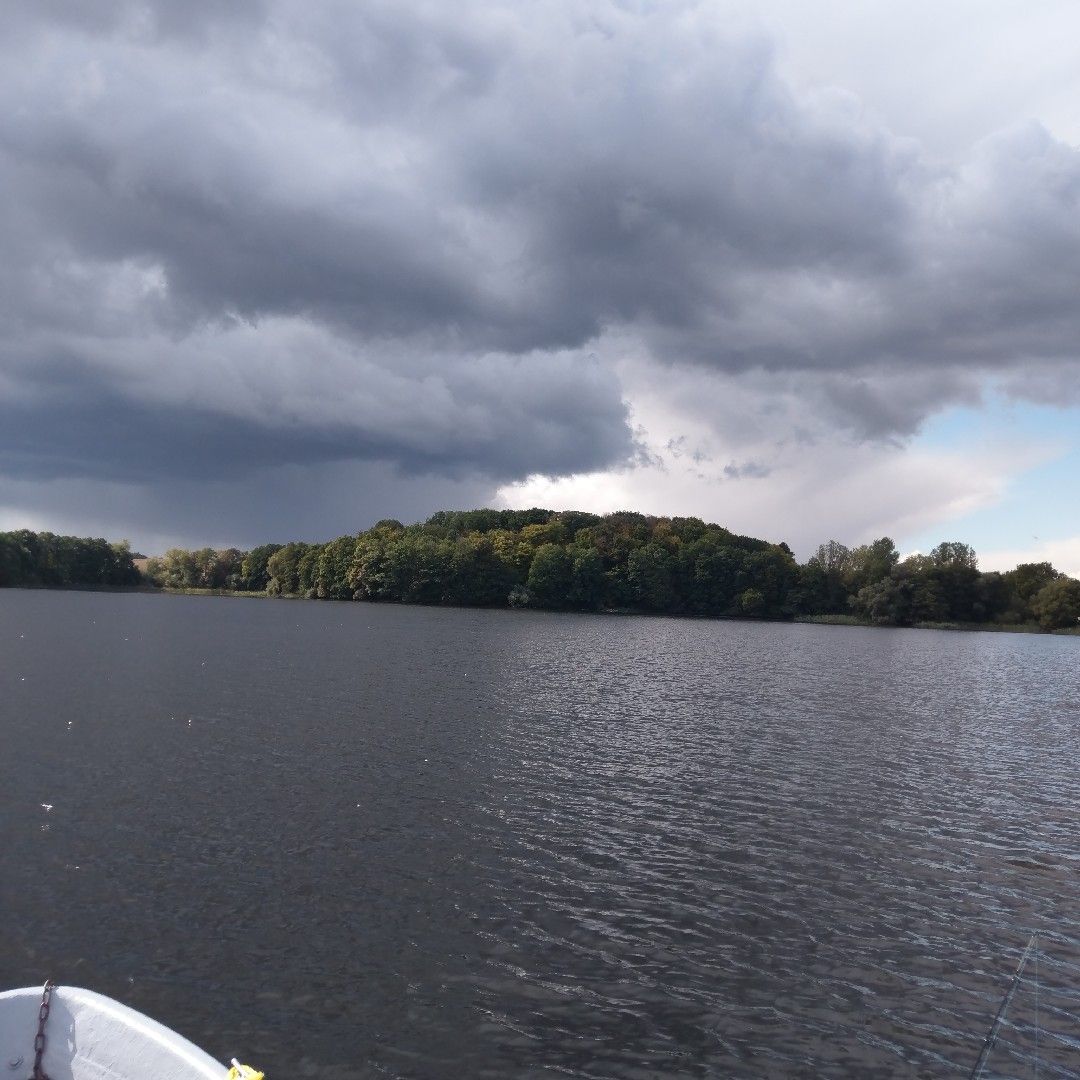 Düstersee (Temmen) angeln