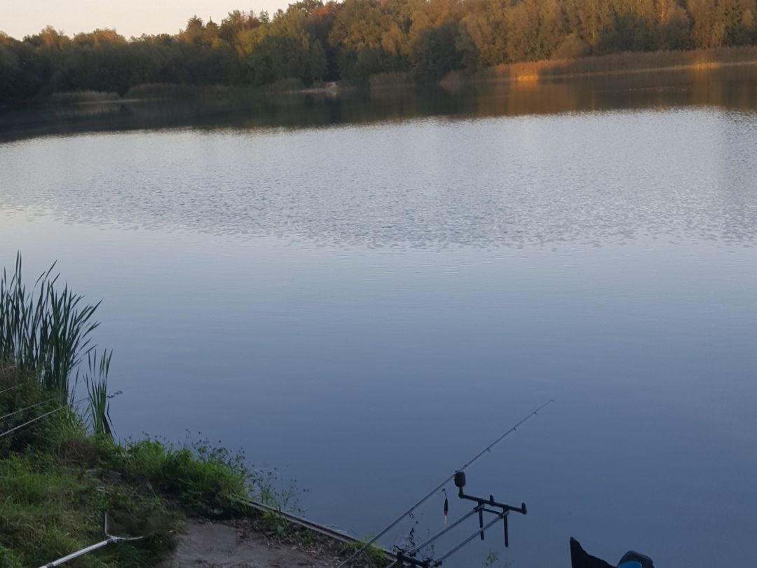 Kiessee Bechtsbüttel angeln