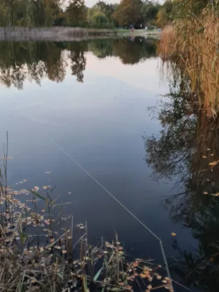 Willischza See