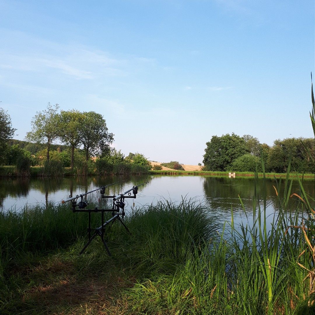 Vereinsgewässer Drognitz angeln