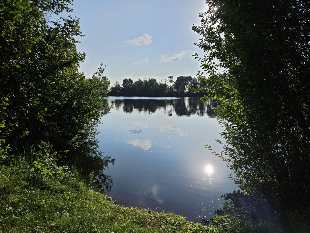 Viktoriasee (Rieste) angeln
