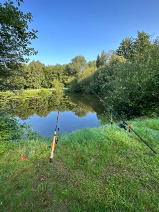 Teich Westerbakum
