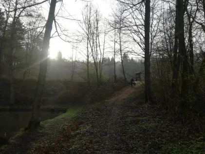 Teich ASV Wehrden