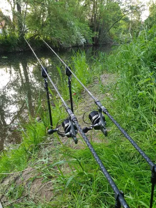 Schwalm (Loshausen)
