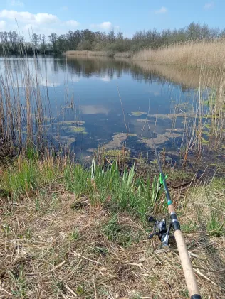 Rethwischer Torfmoor