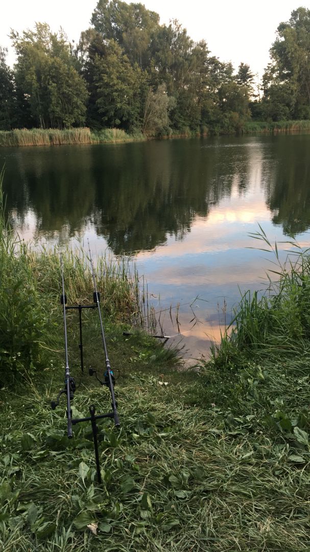 Mitterfeldsee (Oberstimm) angeln