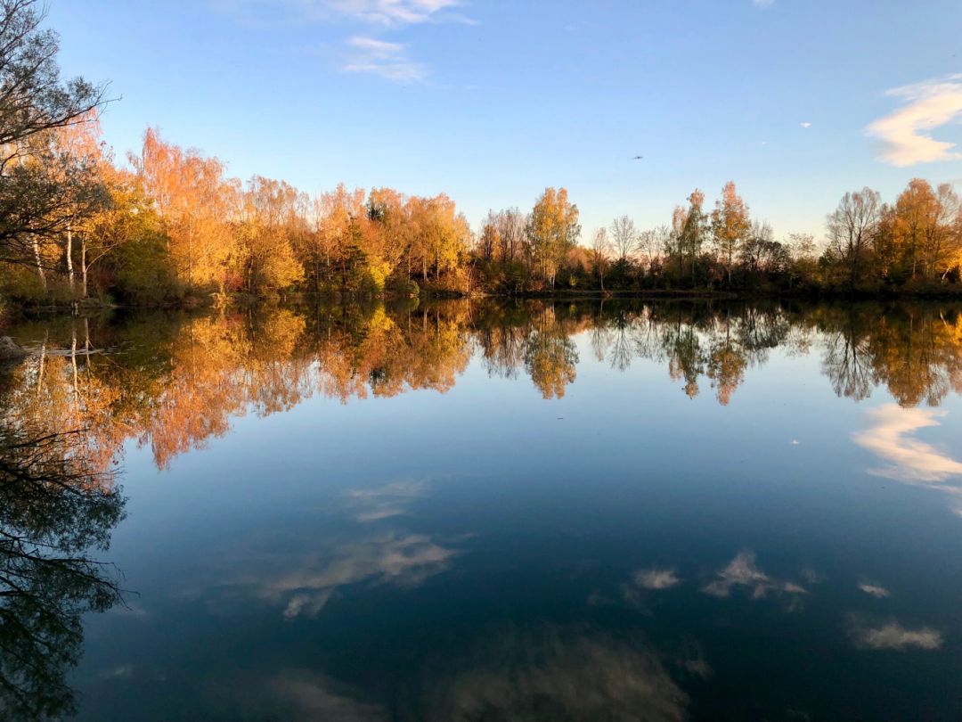 Edelstetter Weiher angeln