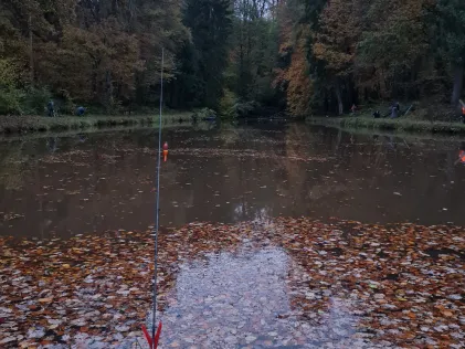 Entenweiher (Frohnhofen)