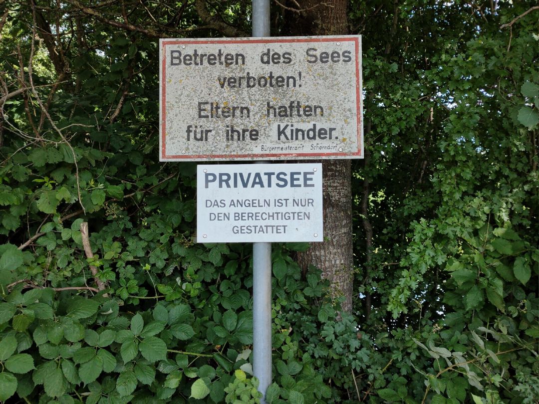 Rehfeldsee (Schorndorf) angeln
