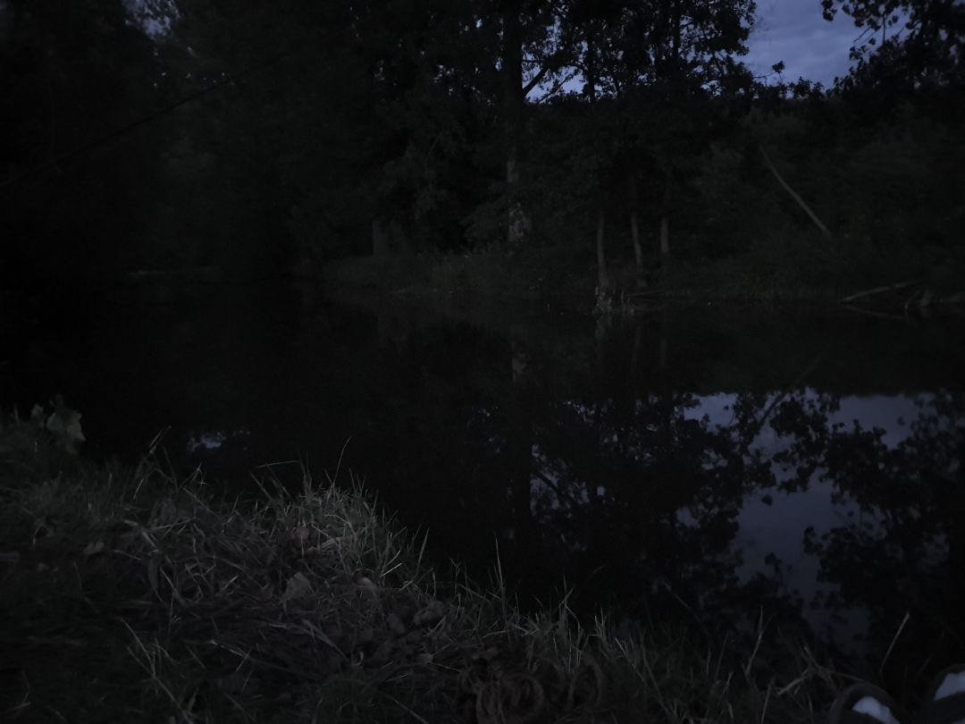 Schwalm (Bad Zwesten) angeln