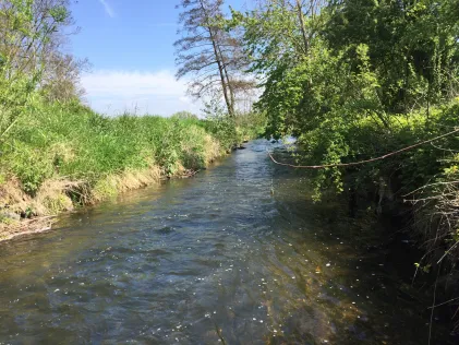 Erft (Euskirchen)