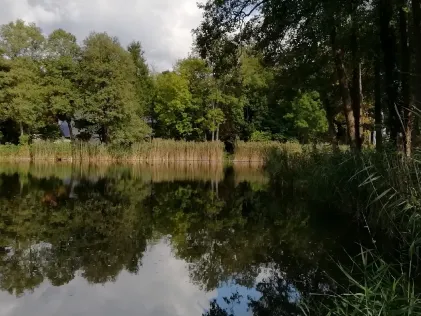 Mergelteiche Wildau