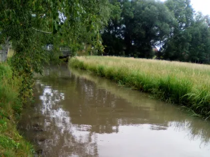 Sandstedter Sielfleth