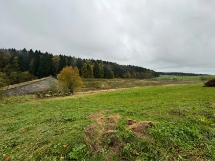 Plattensee (St. Peter)