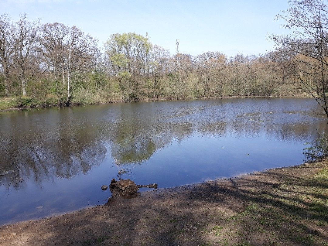 Rückhaltebecken Berner Au angeln