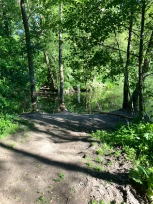 Rückhaltebecken Berner Au