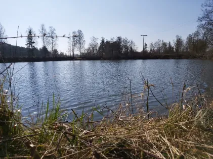 Weich 2 (Grünau)