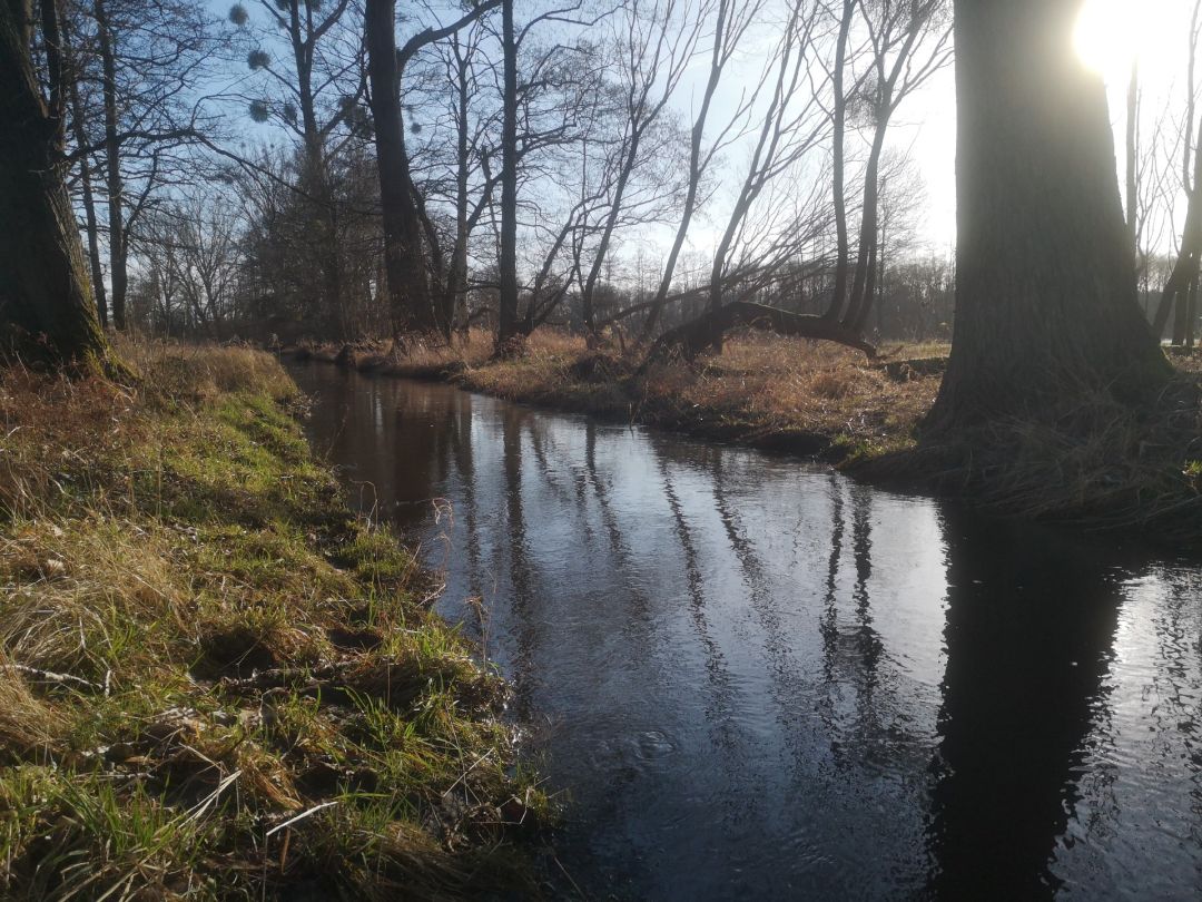 Angeln in Kirch Jesar