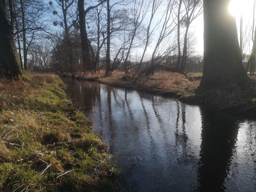 Angeln in Pätow-Steegen