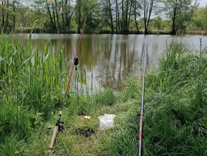 Tongrube Bärenkamp (Eggesin)