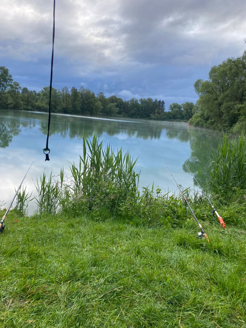 Bertholdweiher (Aindling) angeln