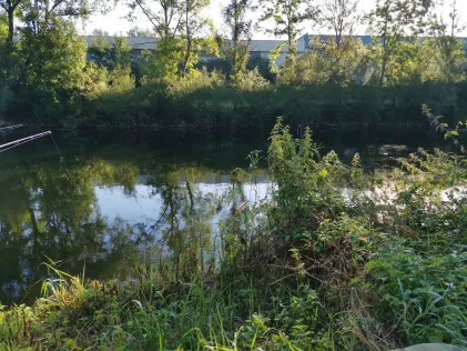 Donau (Scheer)