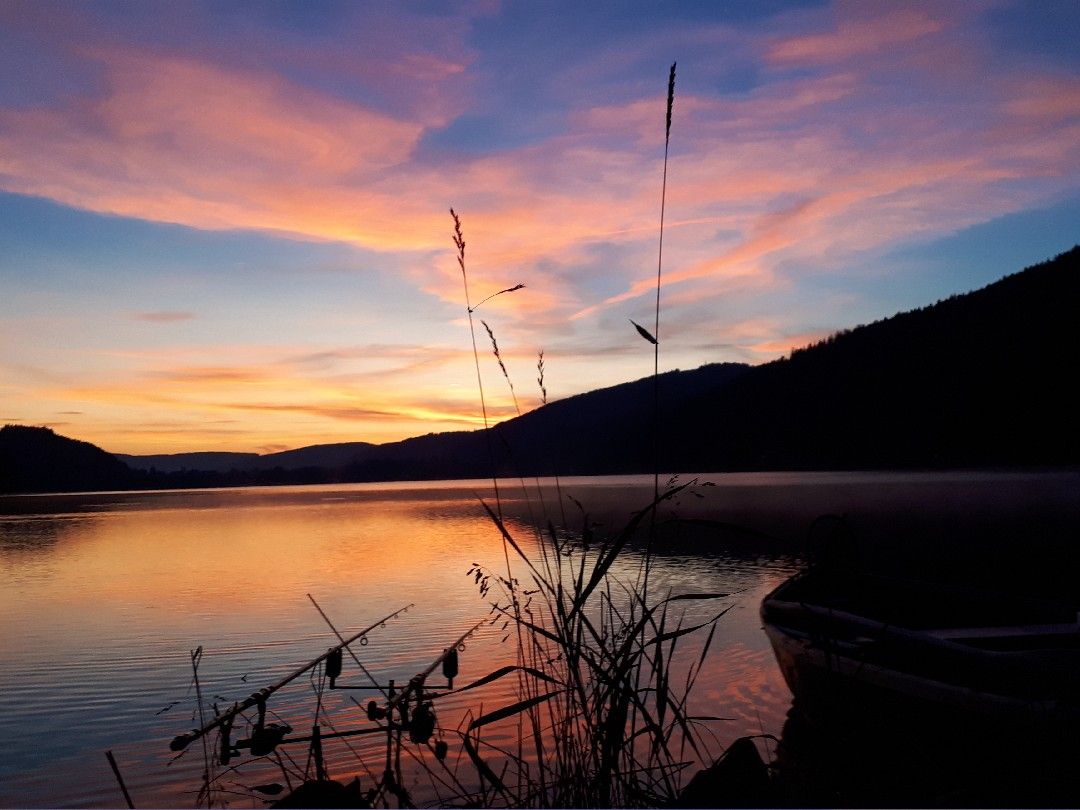 Titisee (Titisee - Neustadt) angeln