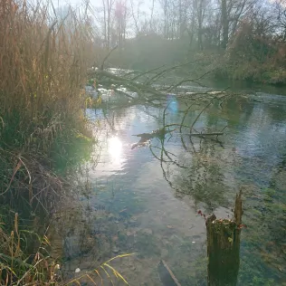 Hammerbach (Rosenheim)