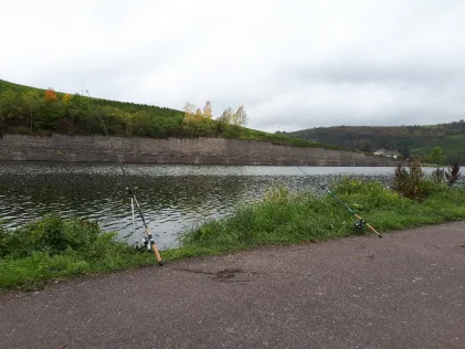 Mosel (Nittel)